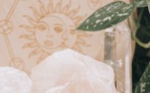 White Floral Table Cloth on Table